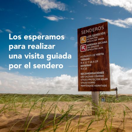  Conocé el sendero "Los Senecios" de la Reserva Natural Faro Querandí. 