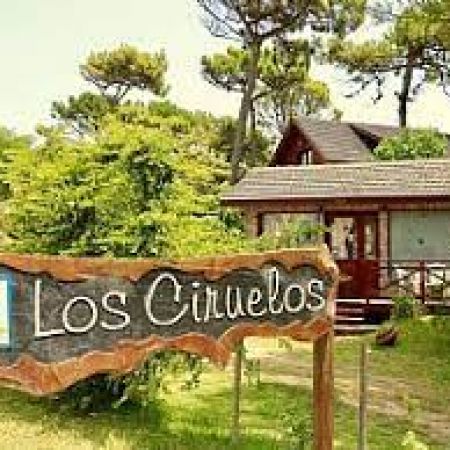 Los Ciruelos